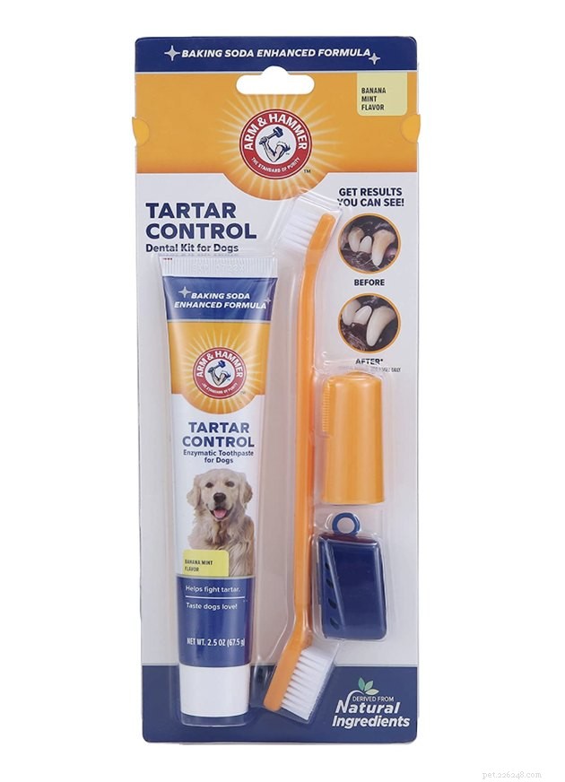 Top Dog Toothpastes of 2022: Expert Picks for Healthy, Fresh Breath