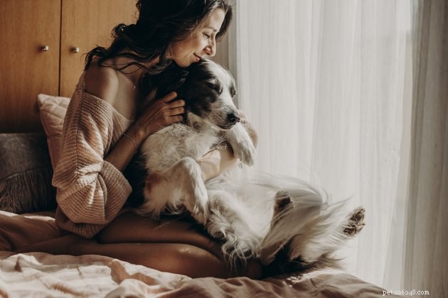 Keep Your Home Spotless: Expert Cat & Dog Grooming Tips
