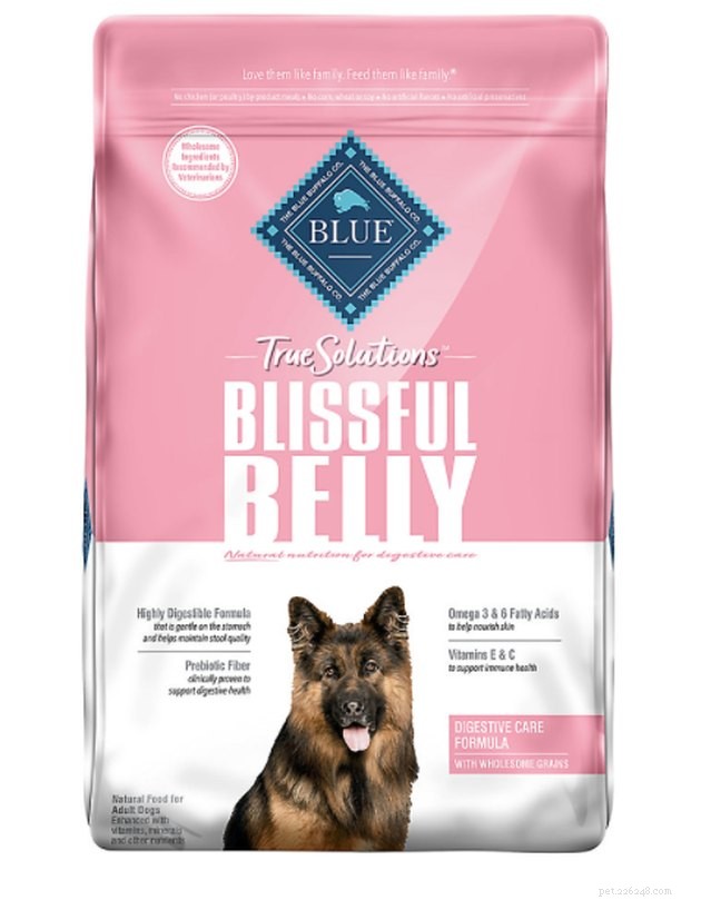 Top Dry Dog Foods for Sensitive Stomachs – 2022 Guide