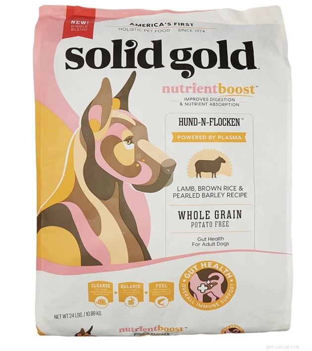 Top Dry Dog Foods for Sensitive Stomachs – 2022 Guide