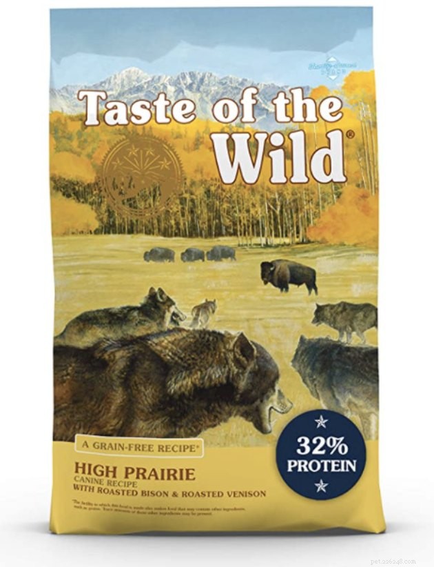 Top Dry Dog Foods for Sensitive Stomachs – 2022 Guide