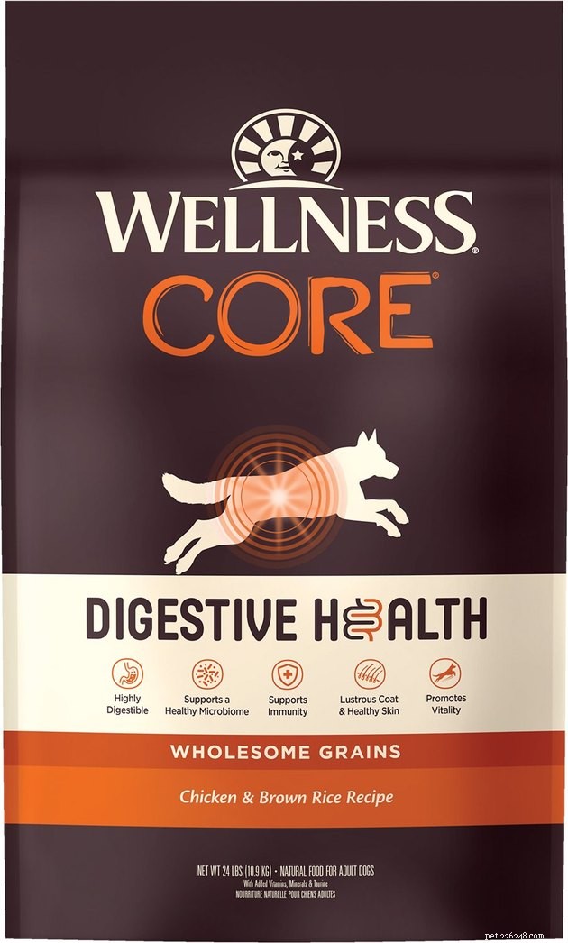 Top Dry Dog Foods for Sensitive Stomachs – 2022 Guide