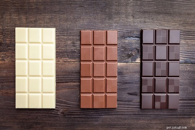 Chocolate Safety for Dogs: Which Types Are Most Toxic?