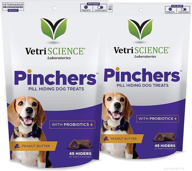 Top Dog Pill Pockets of 2022: Easy, Tasty Medication Delivery