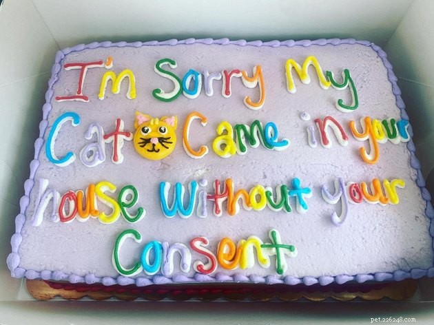 17 Hilarious Pet Photos Proving They Rule Their Own World