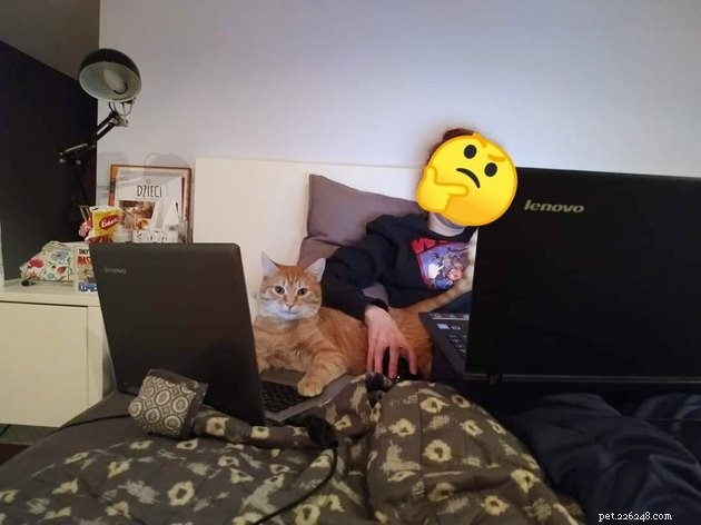 17 Hilarious Pet Photos Proving They Rule Their Own World