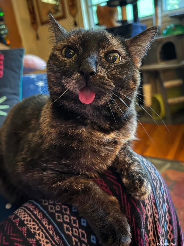 18 Delightful Pet Photos to Brighten Your Day