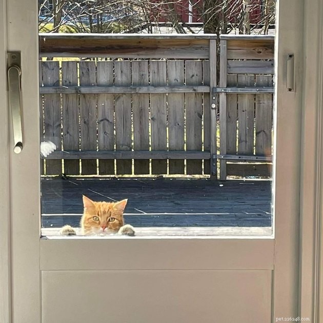 18 Delightful Pet Photos to Brighten Your Day