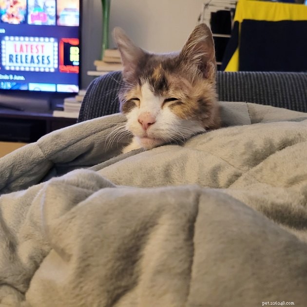 18 Delightful Pet Photos to Brighten Your Day
