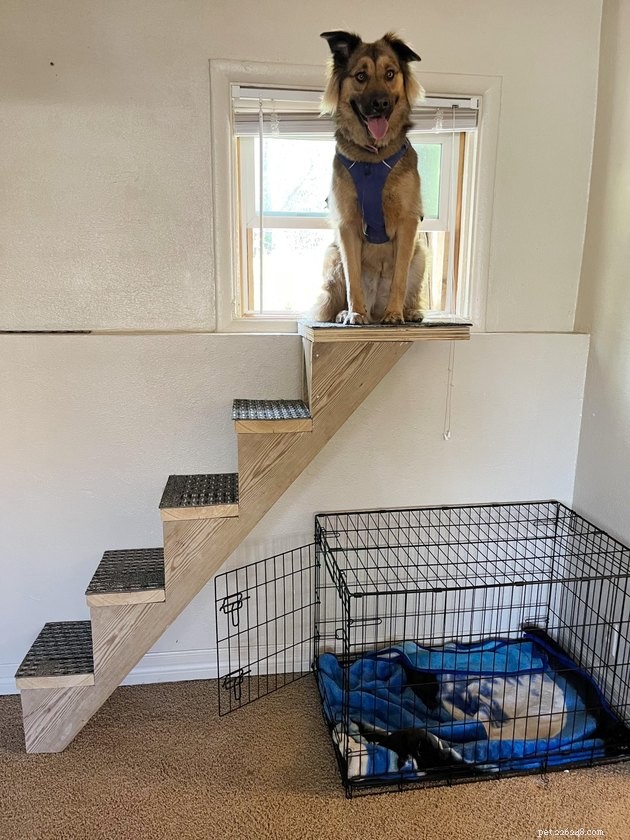 18 Delightful Pet Photos to Brighten Your Day