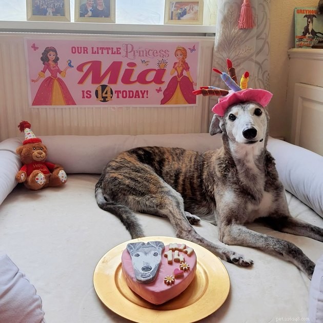 18 Delightful Pet Photos to Brighten Your Day
