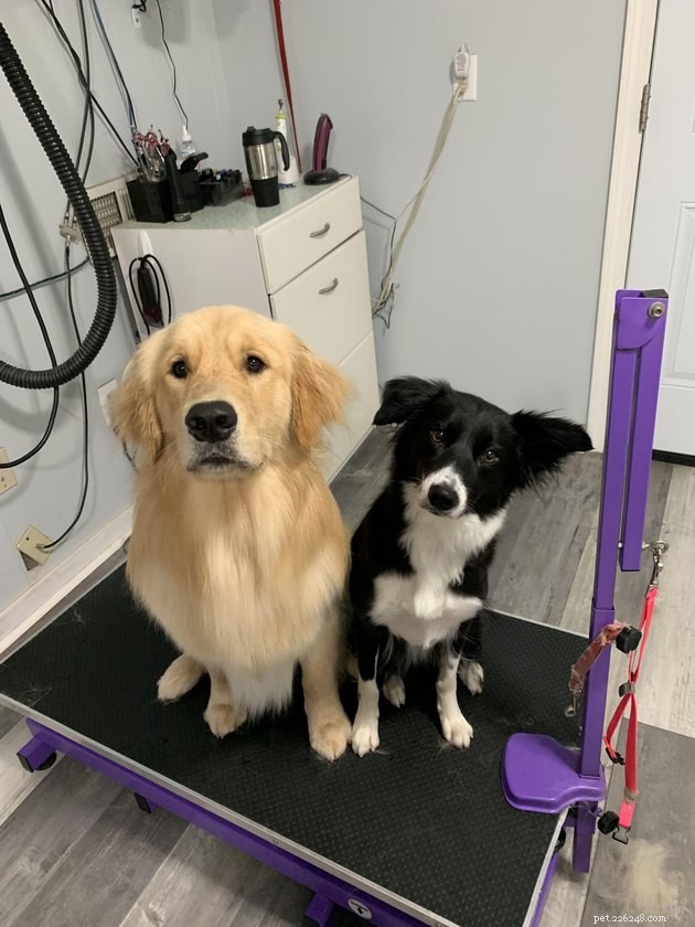 12 Heartwarming Animal Friendships to Share with Your Best Friend
