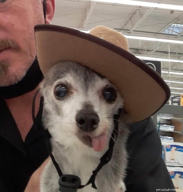 19 Adorable and Funny Dogs That Will Make You Smile