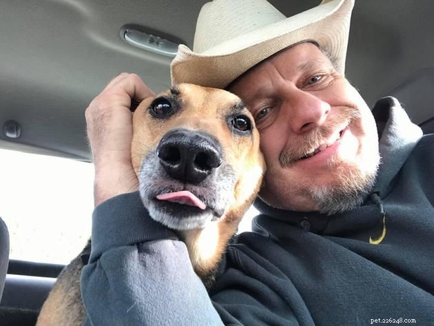 18 Heartwarming Tales of Humans Helping Animals