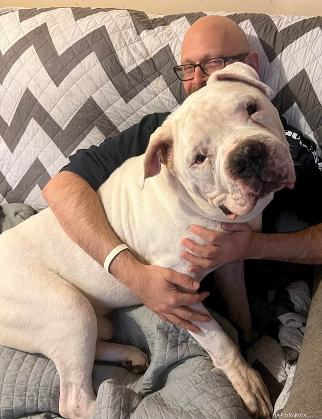 20 Adorable Dogs That Will Melt Your Heart