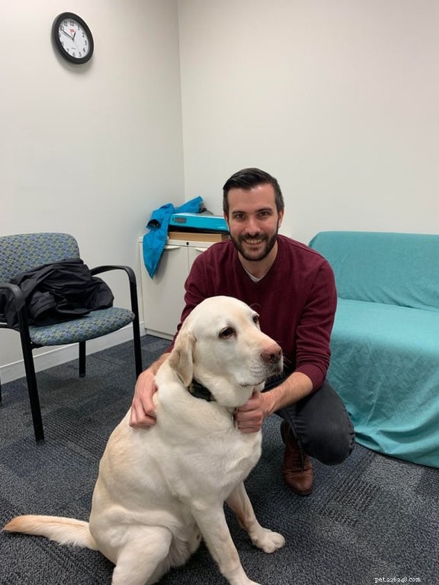 19 Dogs Making a Difference: Transforming Human Lives