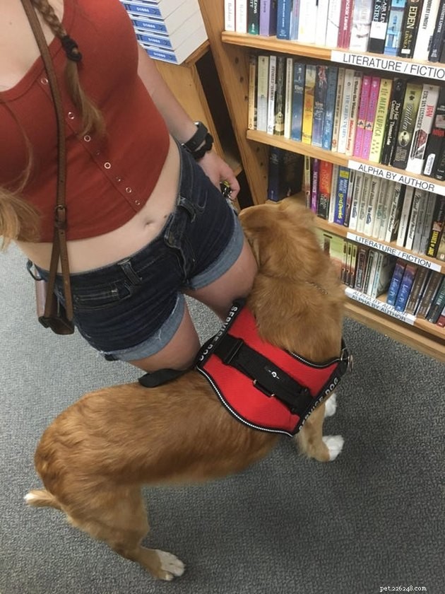 19 Dogs Making a Difference: Transforming Human Lives