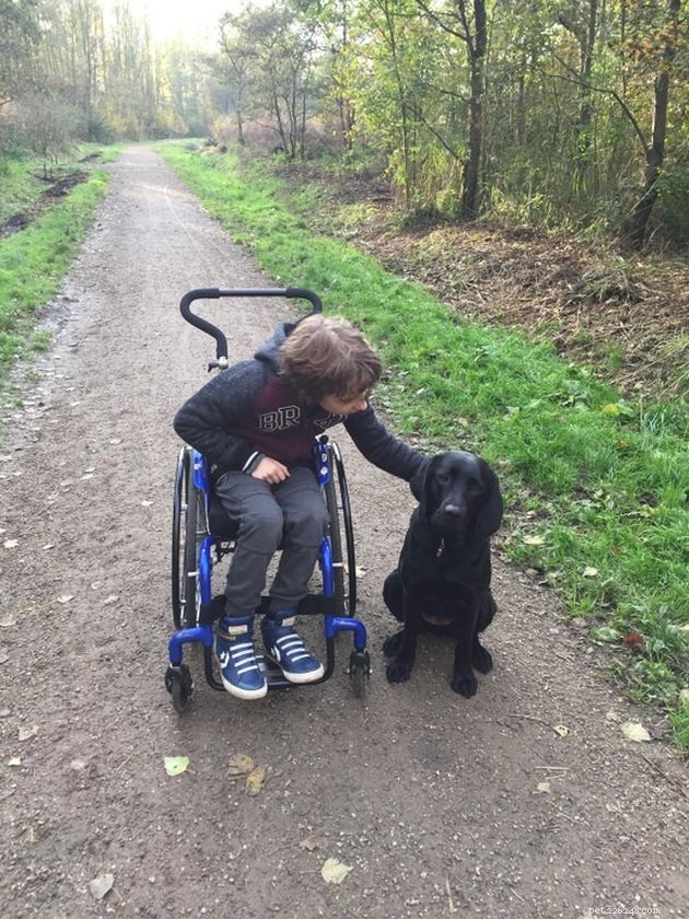 19 Dogs Making a Difference: Transforming Human Lives