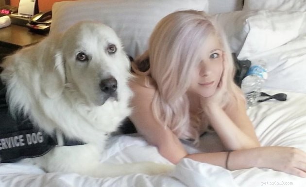19 Dogs Making a Difference: Transforming Human Lives