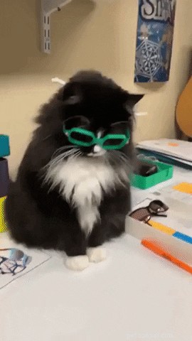 17 Pet Photos Proven to Boost Your Mental Health