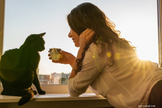How Cats Learn: Do They Mimic Each Other?