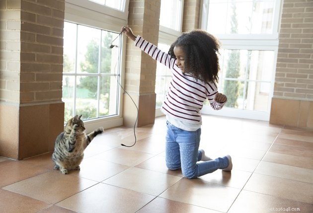 Build a Strong Bond with Your New Cat Through Play & Training