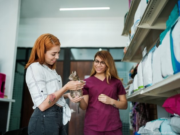 How to Build a Stress‑Free Vet Experience for Your New Cat