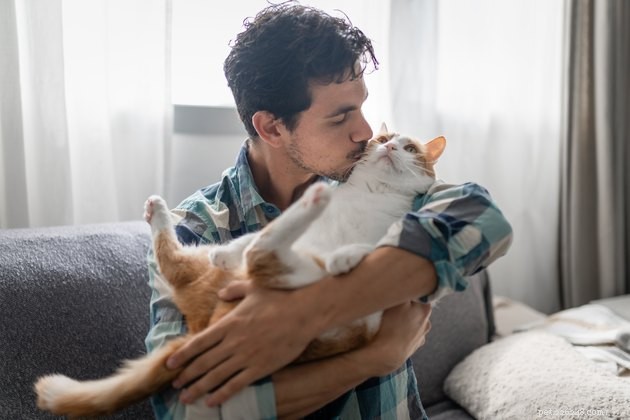 Understanding Why Cats Bite Your Chin: Signs of Affection, Play, or Attention