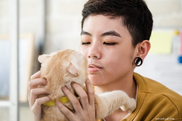 Understanding Why Cats Bite Your Chin: Signs of Affection, Play, or Attention