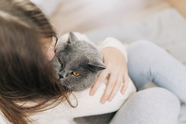 Understanding Why Cats Bite Your Chin: Signs of Affection, Play, or Attention