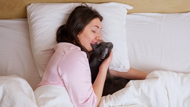 Morning Affection: Why Cats Show Extra Love Early in the Day