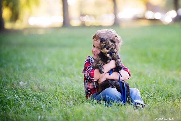 140 Elegant Tortoiseshell Cat Names: Unisex & Gender‑Specific Picks