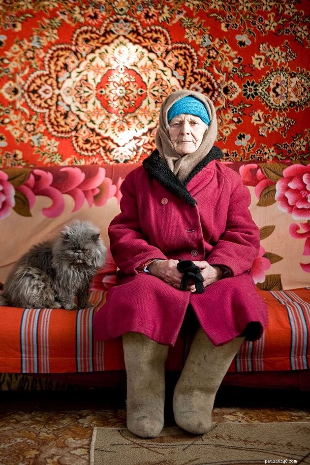 121 Russian Cat Names: Classic & Modern Choices for Your Feline Friend