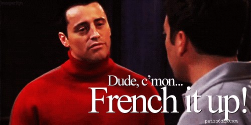 212 Elegant French Cat Names to Charm Your Feline Friend