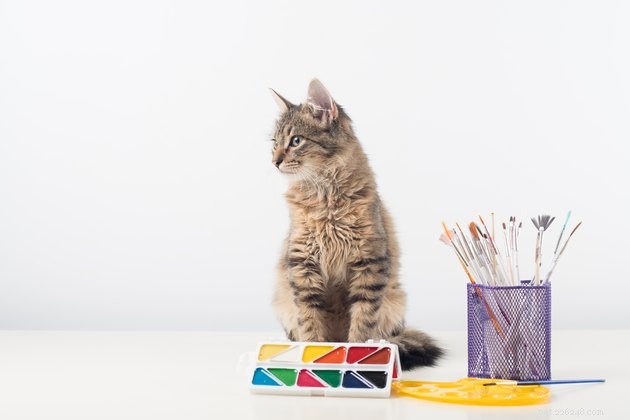 107 Charming Italian Cat Names to Perfectly Capture Your Feline’s Personality