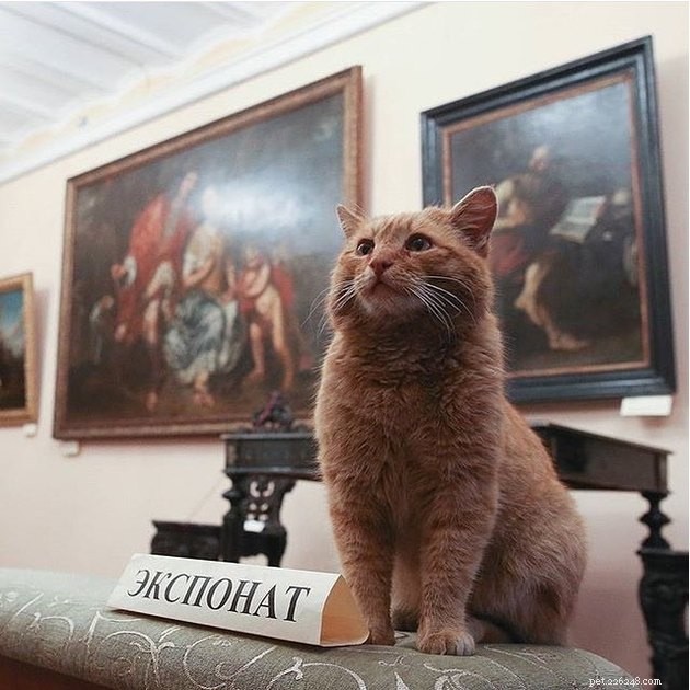 121 Russian Cat Names to Inspire Your New Feline Companion