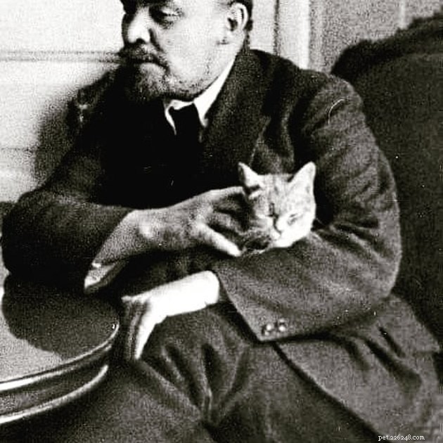 121 Russian Cat Names to Inspire Your New Feline Companion