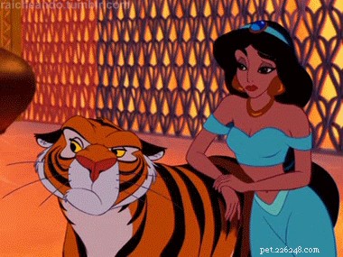 130 Iconic Pop Culture Cat Names to Inspire Your Feline s Identity