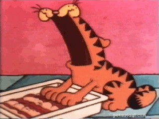 130 Iconic Pop Culture Cat Names to Inspire Your Feline s Identity