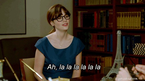 212 Elegant French Names for Your Cat—Unforgettable & Chic