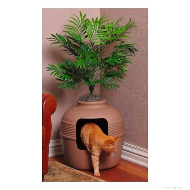 Top Covered Cat Litter Boxes of 2022: Comfort, Odor Control & Privacy