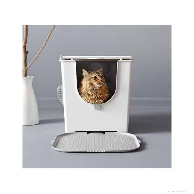 Top Covered Cat Litter Boxes of 2022: Comfort, Odor Control & Privacy