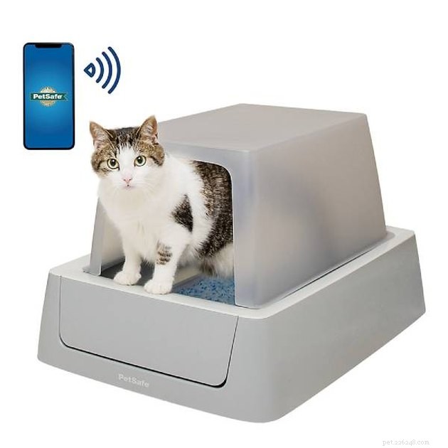 Top Covered Cat Litter Boxes of 2022: Comfort, Odor Control & Privacy