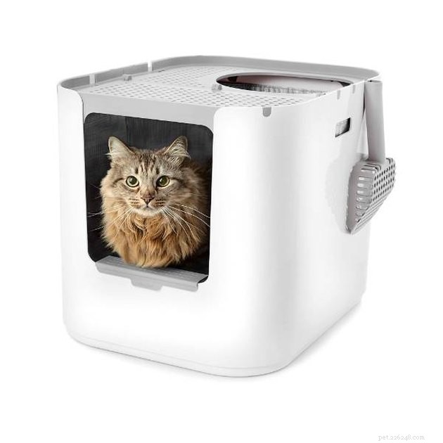 Top Covered Cat Litter Boxes of 2022: Comfort, Odor Control & Privacy