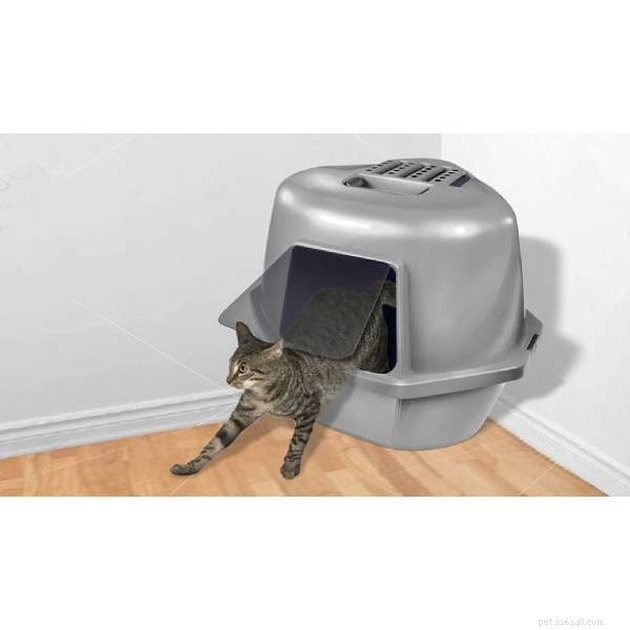 Top Covered Cat Litter Boxes of 2022: Comfort, Odor Control & Privacy