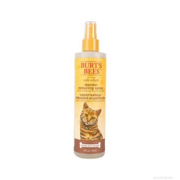Top 2022 Grooming Products to Minimize Cat Dander and Allergy Symptoms