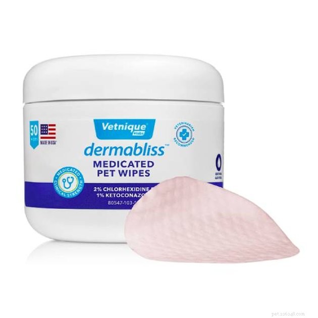 Top 2022 Grooming Products to Minimize Cat Dander and Allergy Symptoms