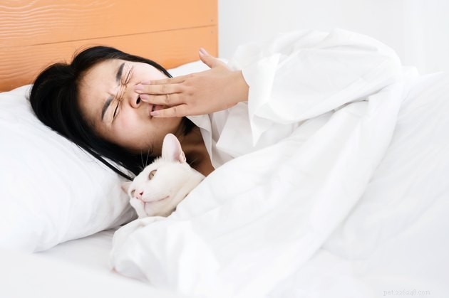 Top 2022 Grooming Products to Minimize Cat Dander and Allergy Symptoms