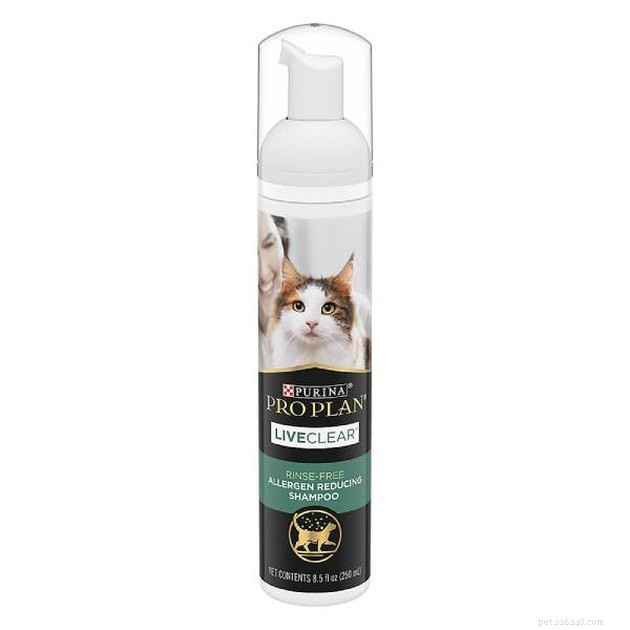 Top 2022 Grooming Products to Minimize Cat Dander and Allergy Symptoms