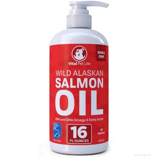 Top 2022 Grooming Products to Minimize Cat Dander and Allergy Symptoms